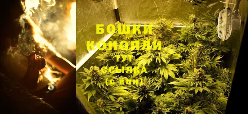 где купить наркоту  Сорск  МАРИХУАНА Bruce Banner 